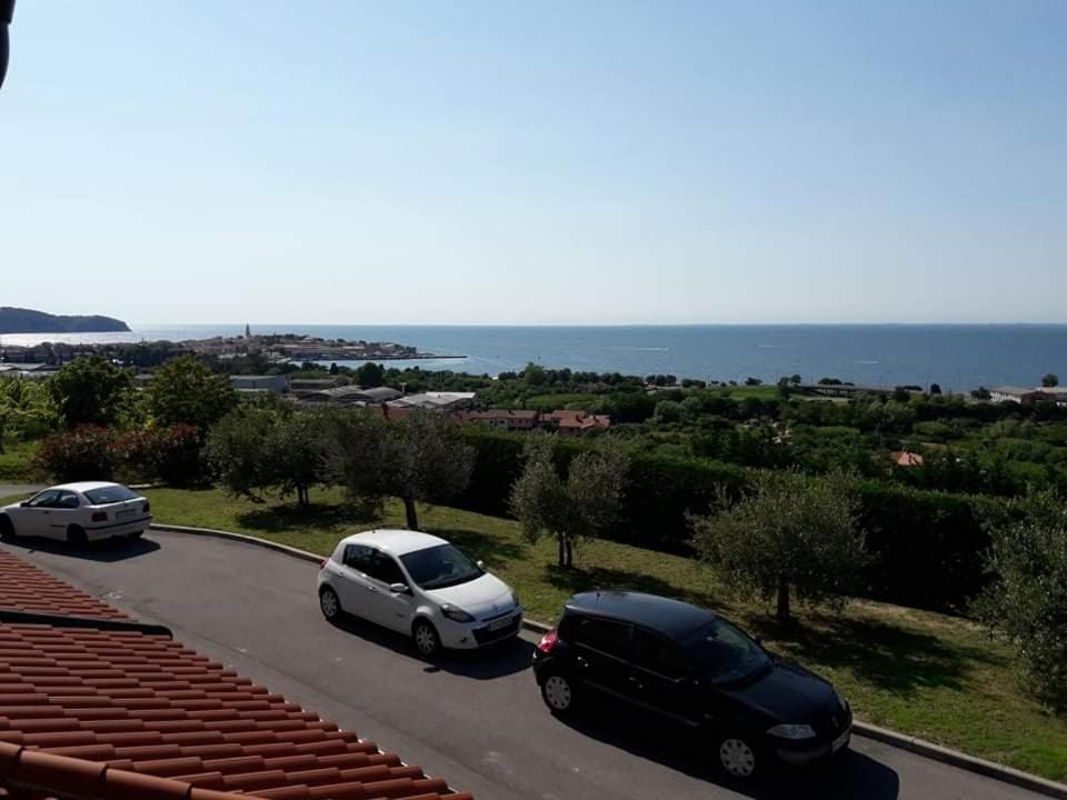 Pivol * Izola